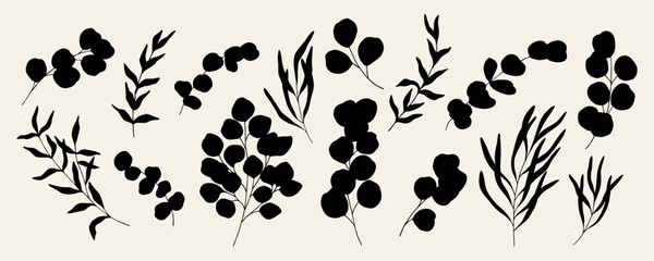 Flat vector eucalyptus branches collection © Maria