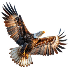 Obraz premium American Eagle is flying isolated on transparent background