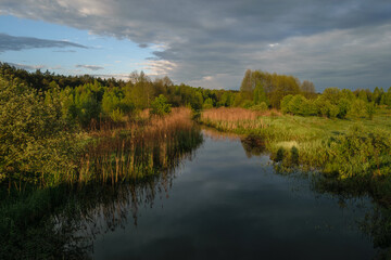 reflection of trees in the lake