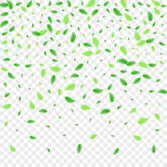 Light Green Plant Background Transparent Vector. Greenery Grow Illustration. Modern Texture. Greenish Subtle Design. Foliage Border.