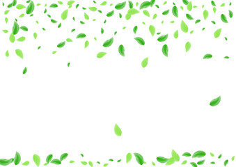 Light Green Leaf Background White Vector. Plant Space Texture. Process Frame. Greenish Fresh Design. Vegetation Drink.