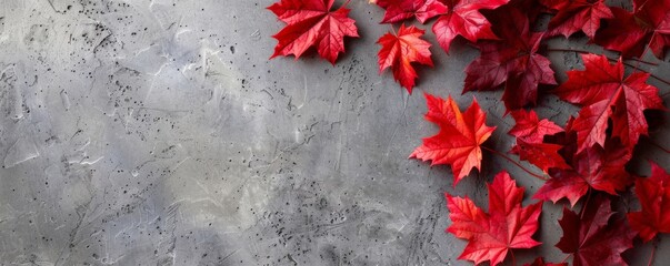 Vibrant Red Autumn Leaves Against a Textured Gray Concrete Background, copy space