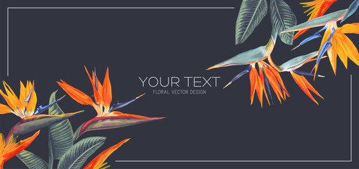 Tropical banner with flowers and leaves of Strelitzia Reginae. Bright flowers on a dark background, place for text. Banner for social networks, outdoor advertising. Very realistic flowers, vector