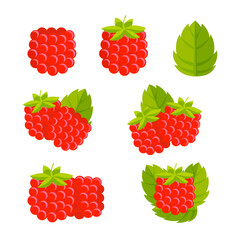 Raspberry Whole and slice. Sweet fruit. Raspberries.