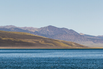 a unique panoramic view over the mono Lake to an dark sandstone mountain range, california