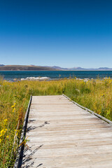 a boardwalk in the middle of a beautiful grassland over a marsh area at the mono lake, california