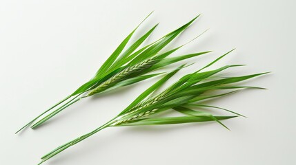 Fototapeta premium Artificial plants, green color, looks like real plants.