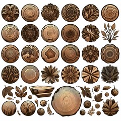 a series of drawings of plants and trees wood texture