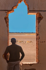 An african man watches the desert landscape outside from a destroyed station window - Namib desert, Namibia