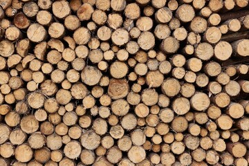 Log wood pile