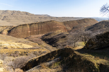 Solitude: A Majestic Tree Stands Proud in the Heart of the Valley