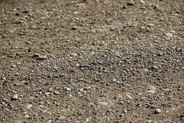 A Tapestry of Pebbles: The Mosaic of Natures Path Under Midday Sun