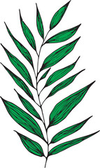Vector branches and leaves. Hand drawn floral elements. Vintage botanical illustrations