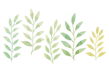 Watercolor leaves illustration set - green leaf branches collection for wedding, greetings, stationary, wallpapers, fashion, background. olive, green leaves, Eucalyptus etc