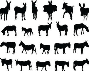 PNG Black silhouettes of donkeys
