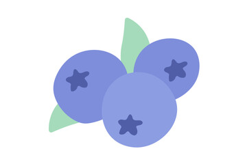 Blueberries in flat style. Doodle illustration
