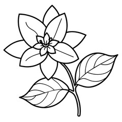 a high-resolution vector art illustration of a Magnolia flower (13)