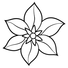 a high-resolution vector art illustration of a Magnolia flower (21)
