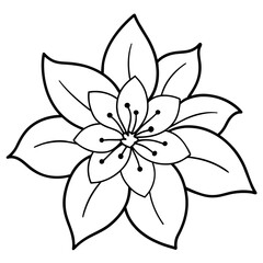 a high-resolution vector art illustration of a Magnolia flower (26)