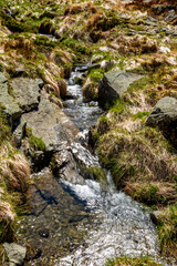 Ruscelli creati dal disgelo nel Parco del Corno alle Scale