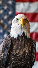Obraz premium bald eagle on flag background