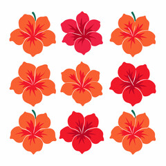 Fototapeta premium minimal Hibiscus flower set vector art illustration (3)
