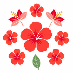 minimal Hibiscus flower set vector art illustration  (23)