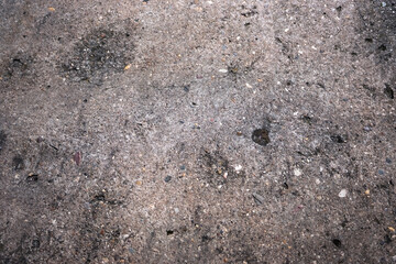 von raps v&ouml;geln und pusteblumen