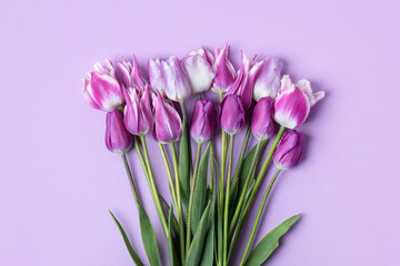 Spring composition on lilac background of flowers lilac and white tulips. Happy Mother's Day greeting card, happy Valentine's Day, March 8, happy birthday