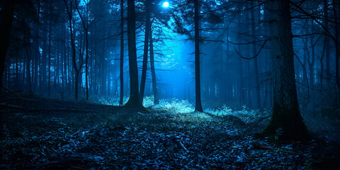 A dimly lit forest with a path leading to a full moon