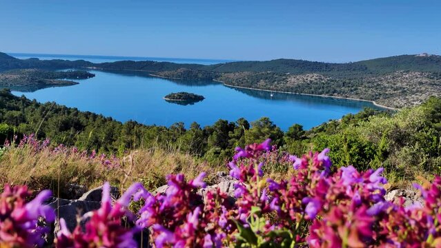 Croatia Dugi Otok island Telascica National Park with Adriatic Sea bay idyllic view from hilltop