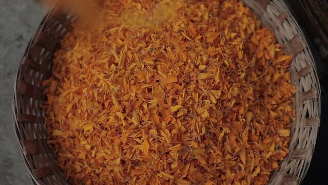 genda phool petals in slow mo 