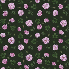 Seamless floral pattern of bright roses on a dark background with leaves and buds. Botanical watercolor flowers for textiles, wallpaper, decorations and prints.
