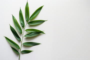 A green leaf is resting on a white surface, creating a simple and minimalistic composition