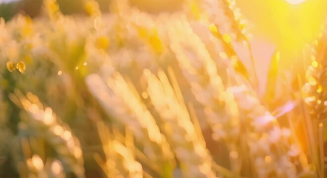 Biofuel plant in wheat field sustainable energy production from organic sources. Concept Biofuel Production, Wheat Field, Sustainable Energy, Organic Sources, Environmental Innovation