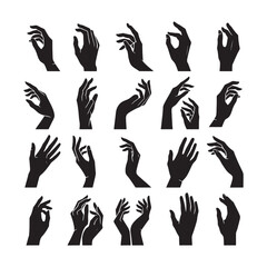 set of female hand icons. Vector illustration of elegant female hands with different gestures. minimalist style