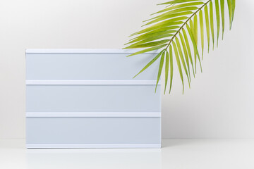 Blank text lightbox with palm leaf on white background. Mockup concept.