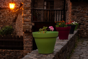 A row of potted plants are lined up on a stone wall. The plants are of different colors and sizes,...