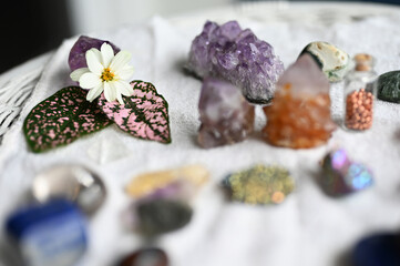 A beautiful assortment of healing crystals and flowers. Fresh and vibrant, moody crystals. Amethyst, citrine, quartz, and rare crystals. 
