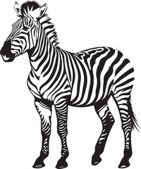 Fototapeta premium zebra animal vector illustration