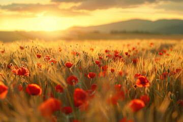 A field filled with red poppies under a sky covered with clouds