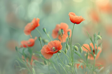 A cluster of red poppy flowers dotting the green grass in a natural setting - Powered by Adobe