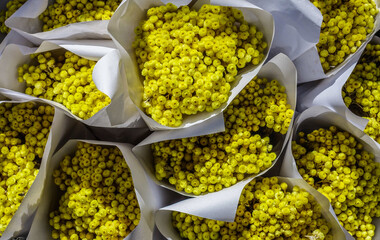 Mimosa bouquets at the market in the Provence, France