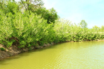 A river with trees on the side