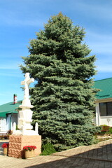 A tree with a statue in the middle of a yard