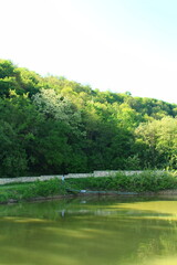 A body of water with trees in the background