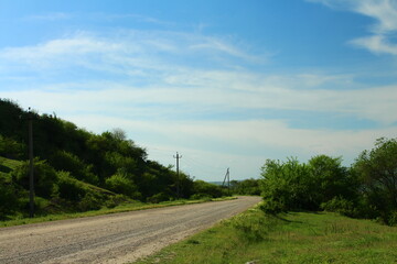A road with trees on the side