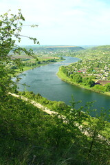 A river with trees and buildings