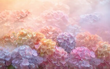 Dreamy pastel hydrangeas gently fading into a soft, ethereal backdrop.