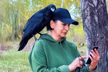 A large black raven sits on the shoulder of a woman who is looking at a smartphone.
